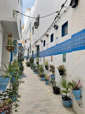 MOROCCO: GARDENS AND MORE Part II,  Guest Post by Susan Kean