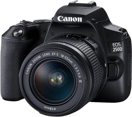 canon EOS 250D with flip screen