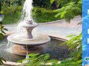 Maintain Your Outdoor Fountain
