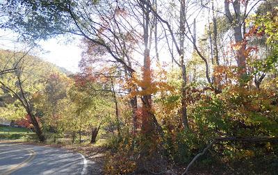 Autumn's Patina