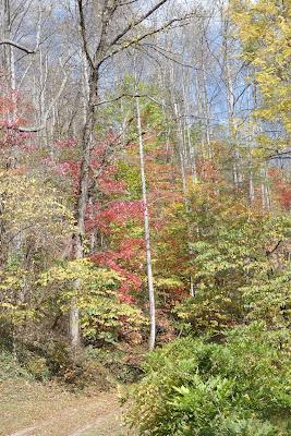 Autumn's Patina