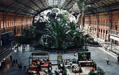 Things to See and Do around Madrid Atocha