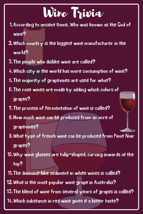 66 Best Wine Trivia Questions to Boost General Knowledge