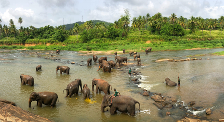 The Best Tailored Experiences In Sri Lanka