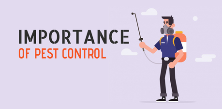 Why Protecting Your Business from Pests is Important? Why Protecting Your Business from Pests is Important?