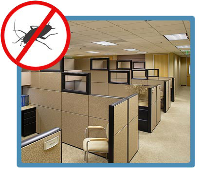 Why is Pest Control Necessary For Offices? Why is Pest Control Necessary For Offices?
