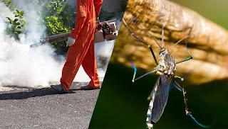 Top 5 Reasons To Hire Professional Mosquito Control Company
