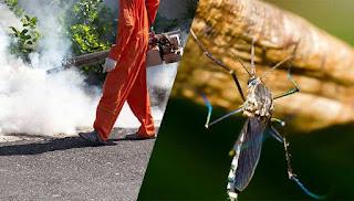 Top 5 Reasons To Hire Professional Mosquito Control Company Top 5 Reasons To Hire Professional Mosquito Control Company