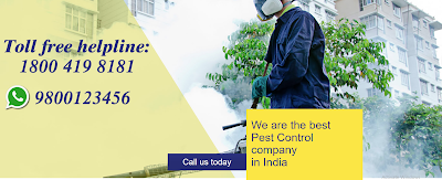 fumigation pest control pest control