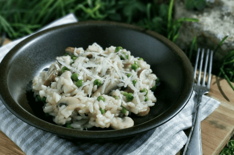 Mushroom risotto