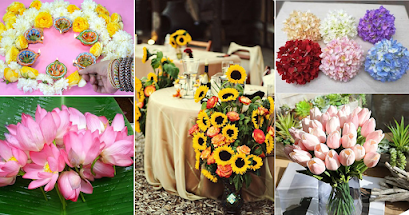 Top Flowers for Every Occasion