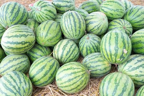 Is Water melon - a fruit or Vegetable ? Is Water melon - a fruit or Vegetable ?