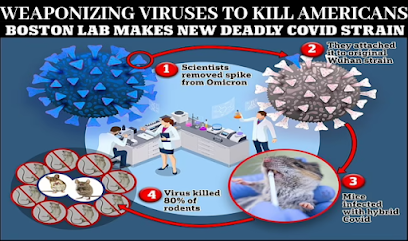 The 80% Kill Rate Of Boston U's Weaponized COVID Virus Aligns Alarmingly With Deagel's 2025 Depopulation Forecast For America As The Globalists Open Up Pandora's Box