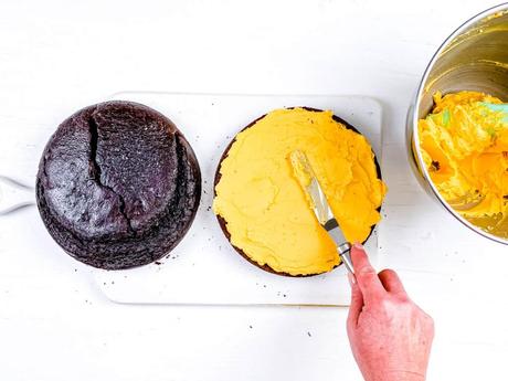 Chocolate Mango Cake