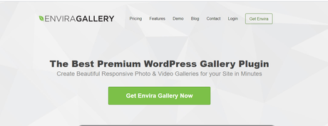 20% Off Envira Gallery Coupon Codes & Promos 2022