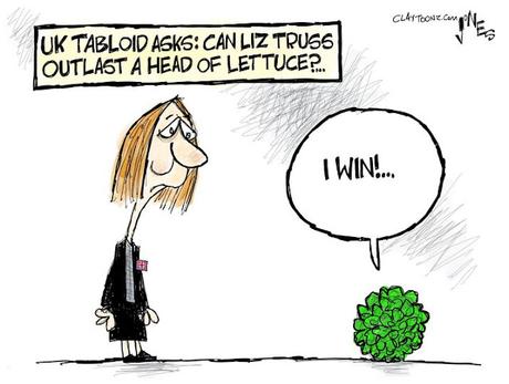 The Head Of Lettuce Won