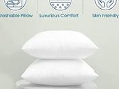 Best Throw Pillow Inserts