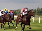 Cool Facts About Breeders’