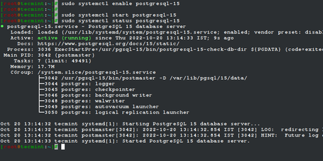 How to install PostgreSQL 15 on Rocky Linux and AlmaLinux