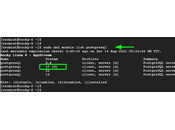 Install PostgreSQL Rocky Linux AlmaLinux