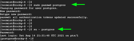 How to install PostgreSQL 15 on Rocky Linux and AlmaLinux