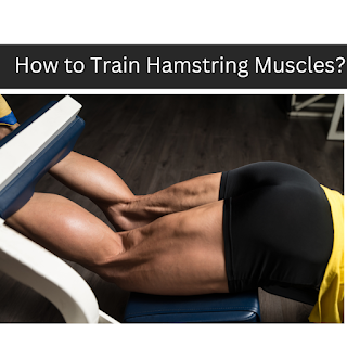 How to Train Hamstring Muscles?