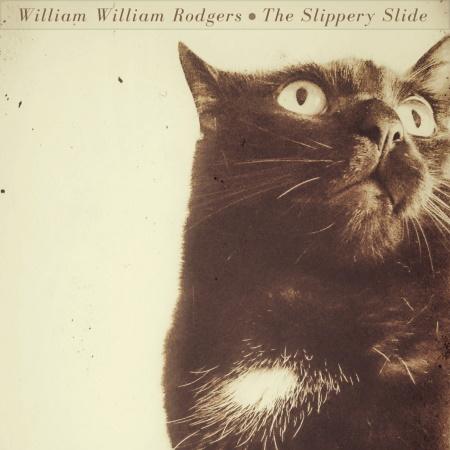 William William Rodgers: The Slippery Slide