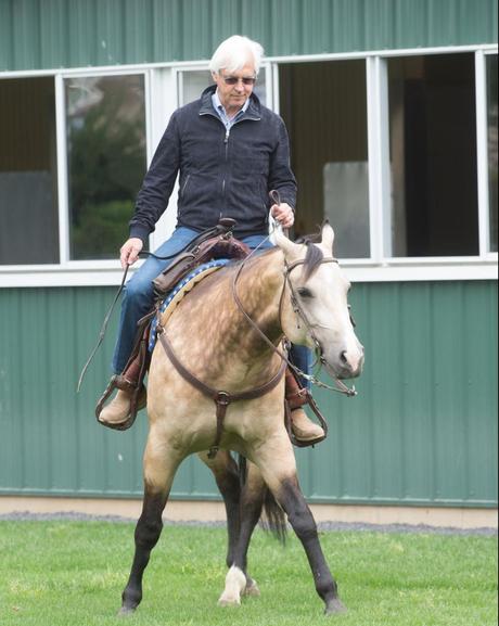 Bob Baffert Net Worth 2022 : (With Yearly Earning Highlights) | The Richest