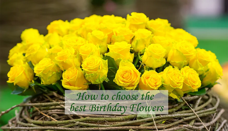 How To Choose Birthday Flowers?