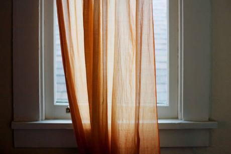 What Does Love Have To Do With It?