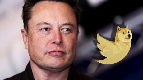 How Twitter Will Accept DOGE And Crypto Under Elon Musk