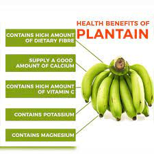 What Are The Health Benefits of Plantain? What Are The Health Benefits of Plantain?