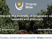 Perspectives Wines Uruguay