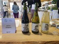 New Perspectives on Wines of Uruguay