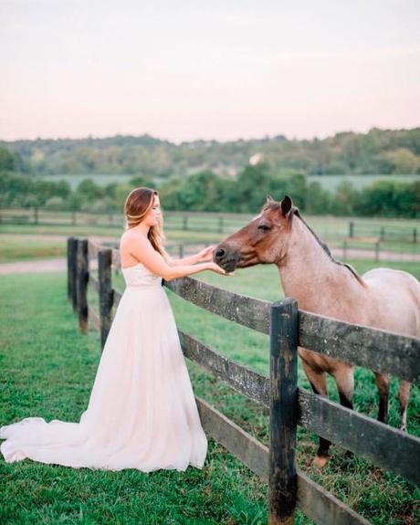 wedding venues in virginia bride horse