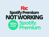 Fix: Spotify Premium Working