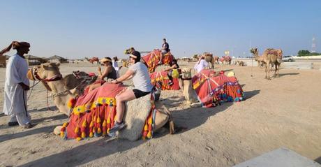 Geteting Ready for a Camel Ride during the Desert Safari in Qatar