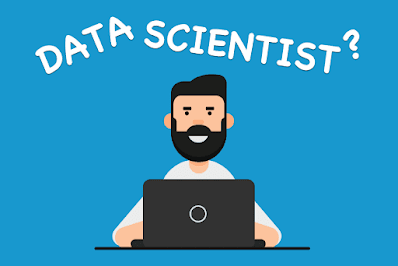 data scientist