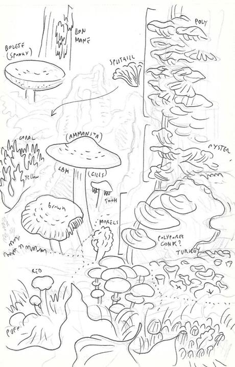 Mushroom Empire