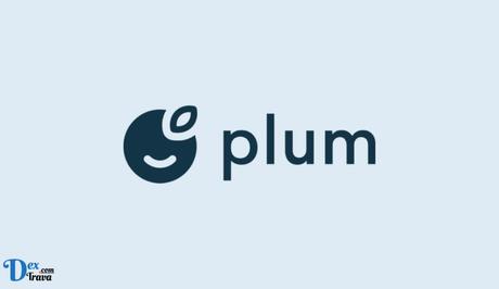Fix: Plum App Not Working Plum App Not Working