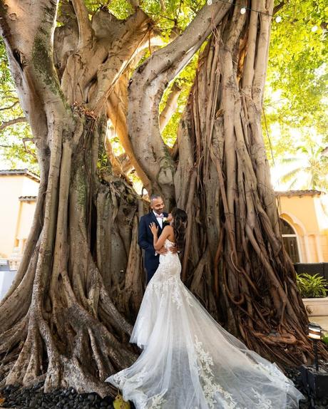 best wedding venues in florida newlyweds near old tree