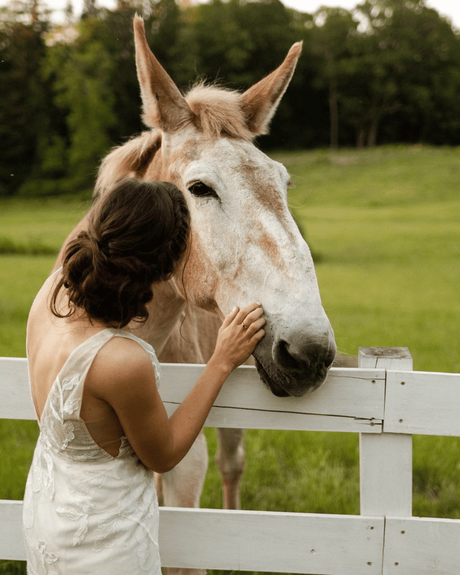 best wedding venues in new england bride with horse