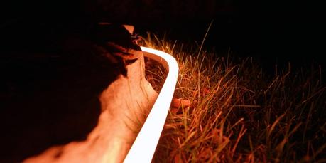Top ways smart tech can save Thanksgiving dinner