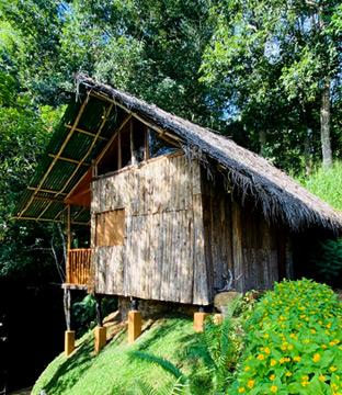 Cabin @ Creek, Cabin Immersed in Nature