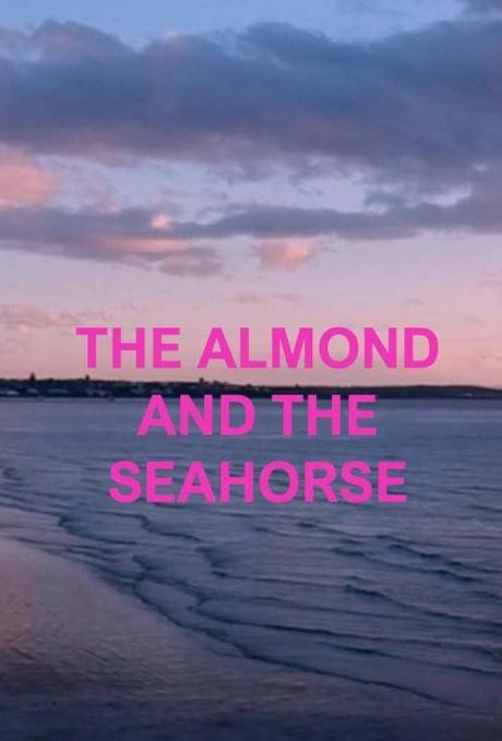 Almond and the Seahorse