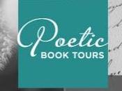 Damnation Cotton Candy Alan Kessler