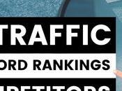 Tracking Traffic Rankings: Which More Important?