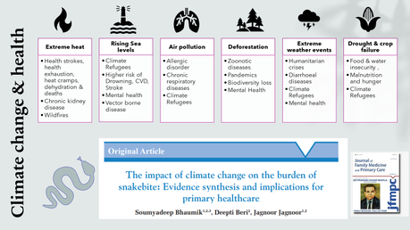 The impact of climate change on the burden of snakebite: Evidence synthesis and implications for primary healthcare