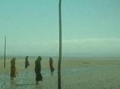 Devil's Witches Forms