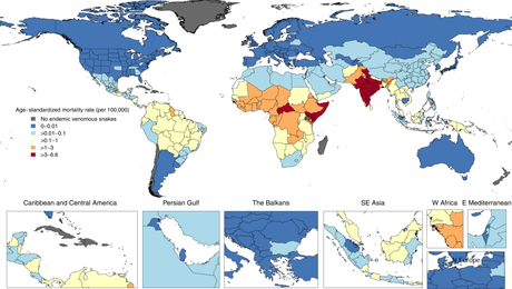 Global mortality of snakebite envenoming between 1990 and 2019